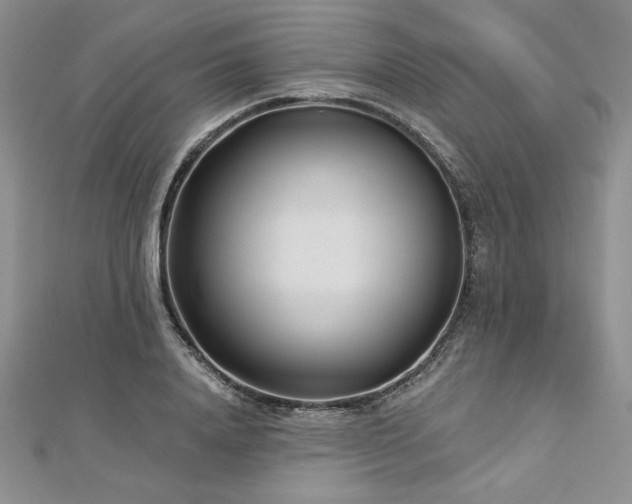 X0000113160840200909041253