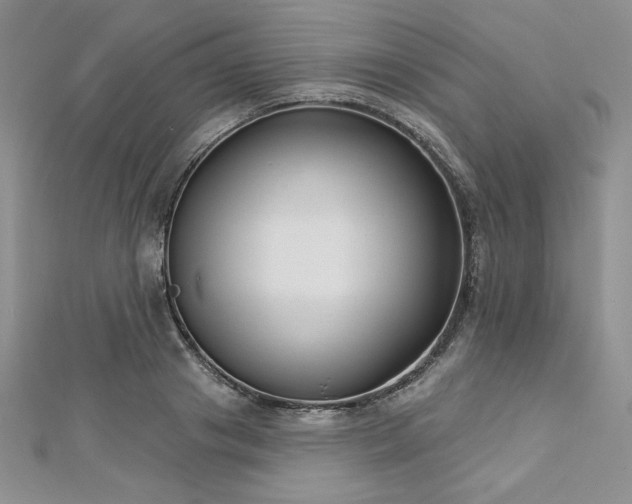 X0000113160841200909041253