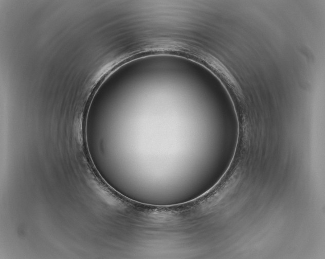 X0000113160842200909041253