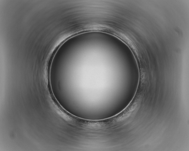 X0000113160843200909041253