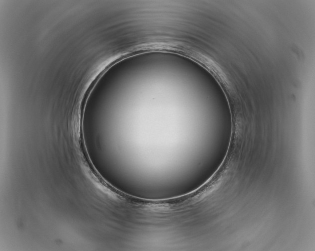 X0000113160844200909041253