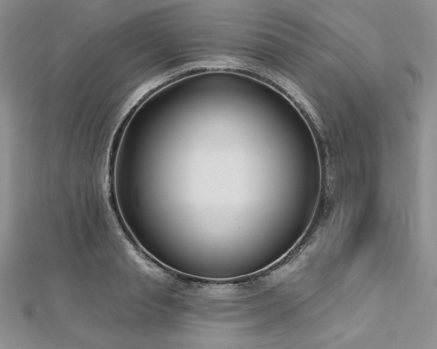 X0000113160845200909041253