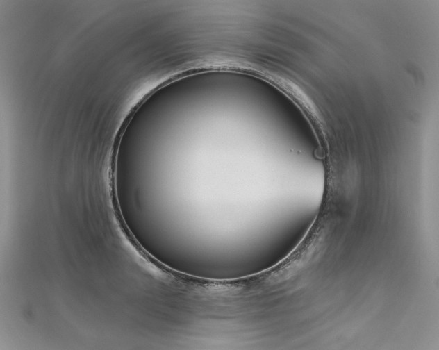 X0000113160847200909041253