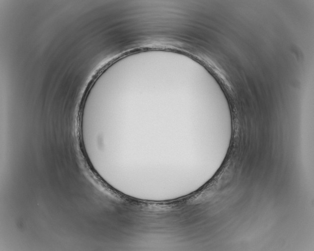 X0000113160848200909041253