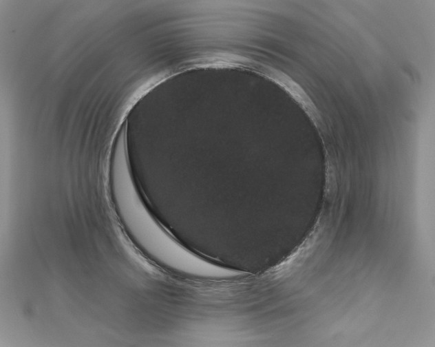 X0000113160850200909041253