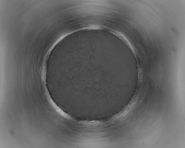 X0000113160851200909041253