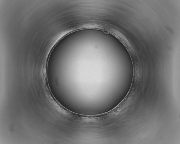 X0000113160852200909041253