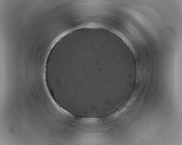 X0000113160853200909041254