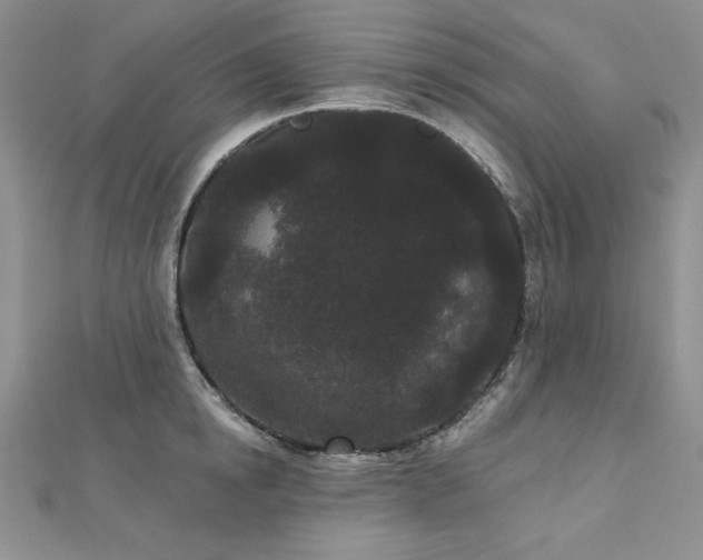 X0000113160854200909041254