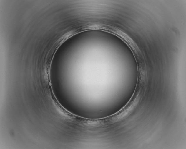 X0000113160857200909041254