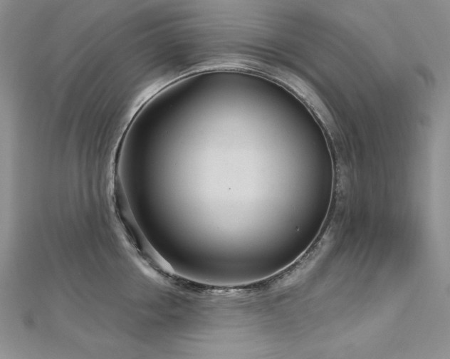 X0000113160858200909041254