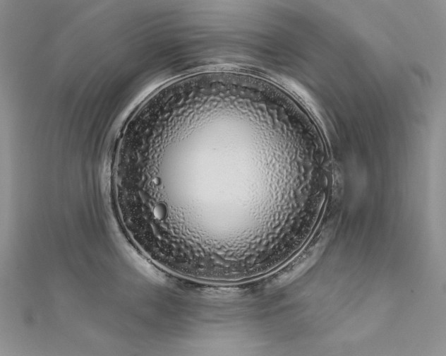 X0000113160859200909041254