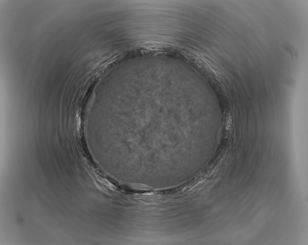 X0000113160868200909041253