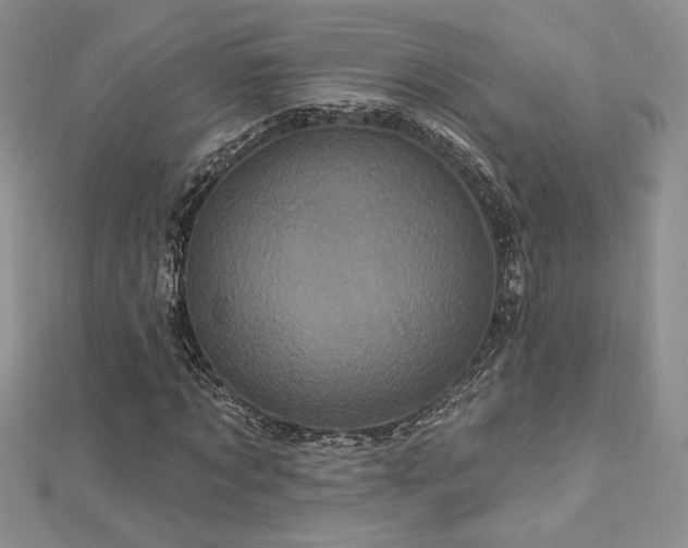 X0000113160869200909041253