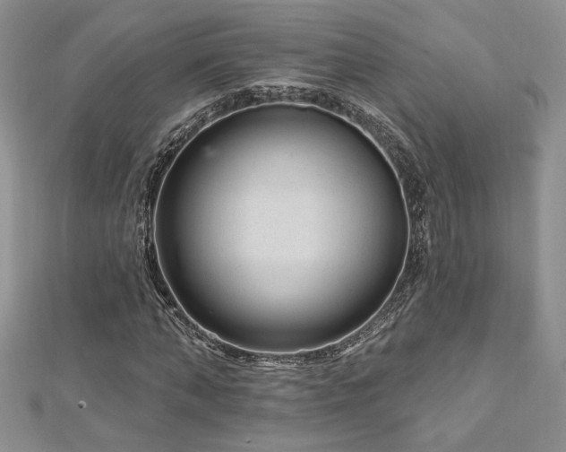 X0000113160870200909041253