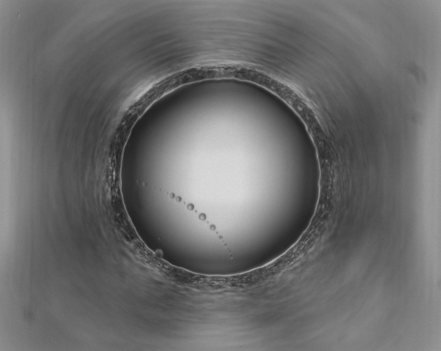 X0000113160871200909041253