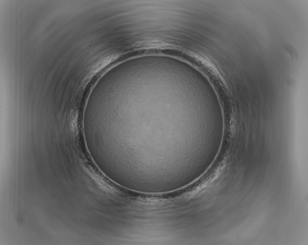 X0000113160873200909041253