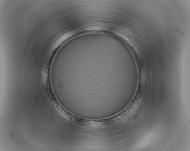 X0000113160874200909041253