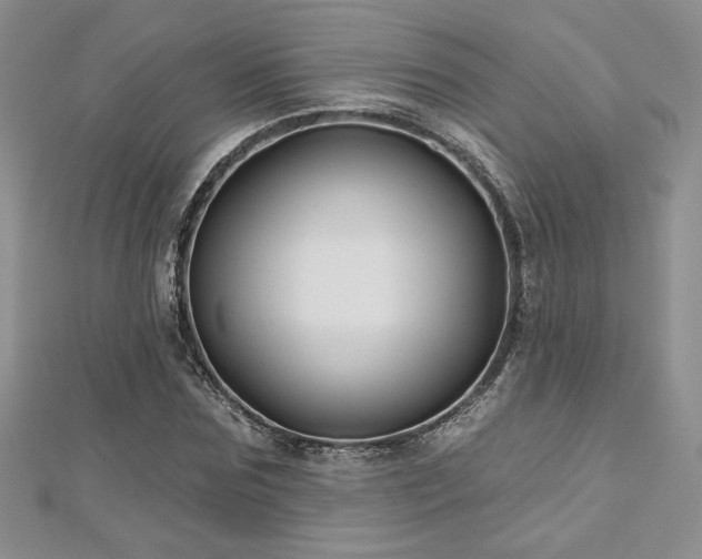 X0000113160875200909041253