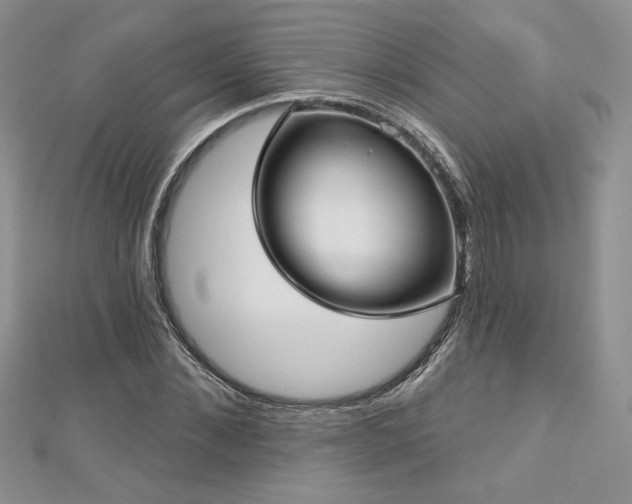 X0000113160876200909041253