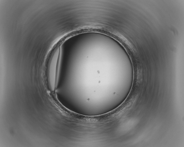 X0000113160878200909041253