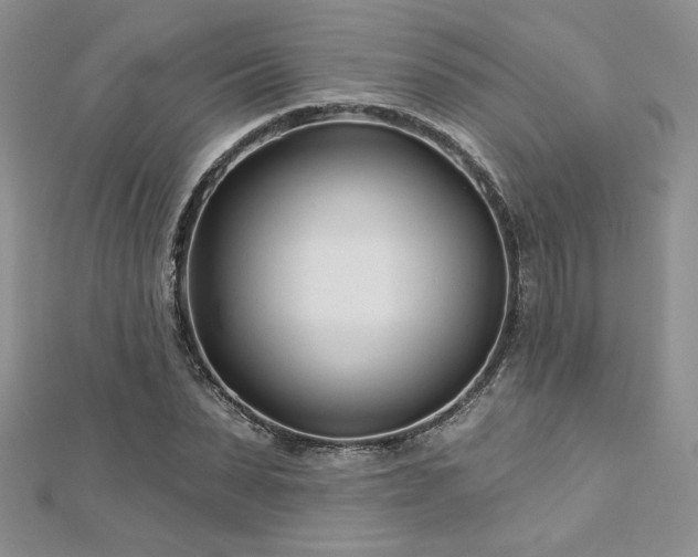 X0000113160879200909041253