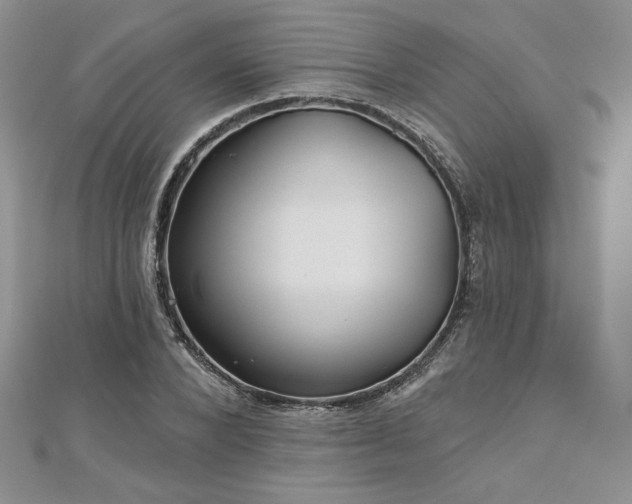 X0000113160880200909041253