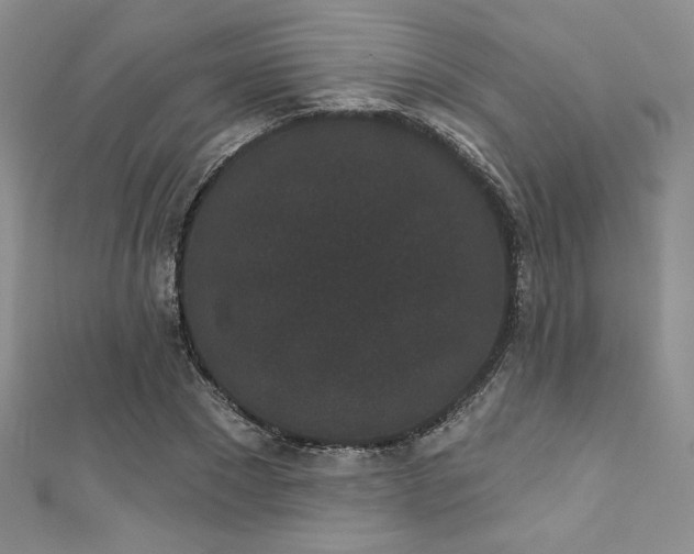 X0000113160881200909041253