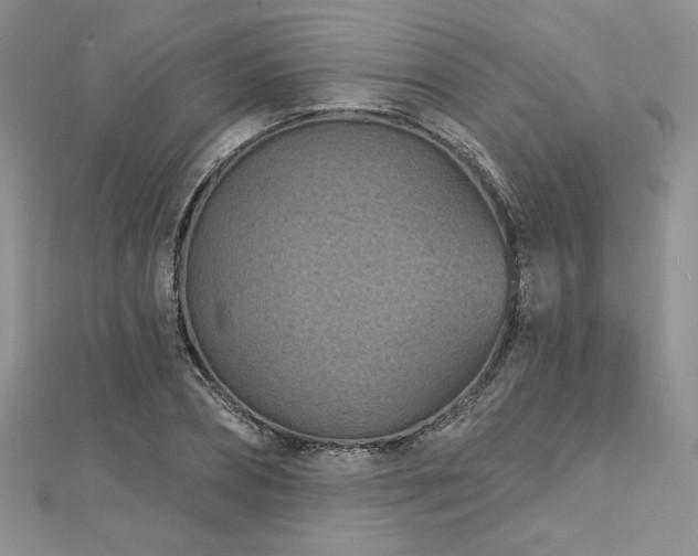 X0000113160882200909041253