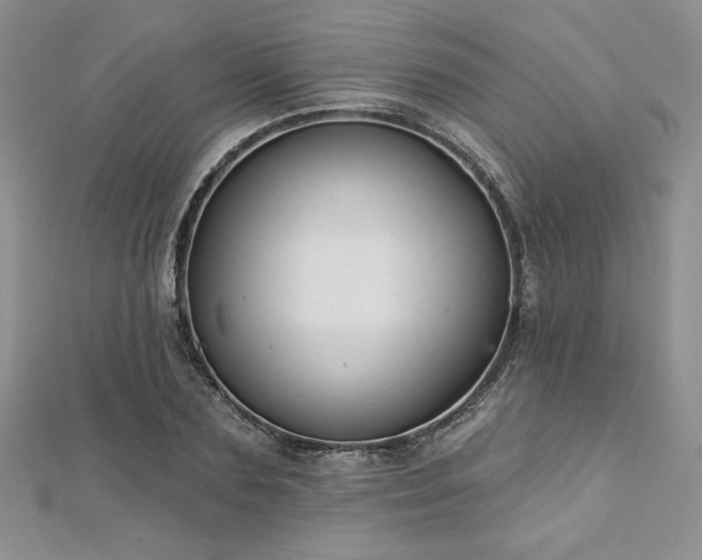X0000113160883200909041253