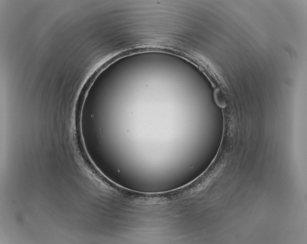 X0000113160884200909041253