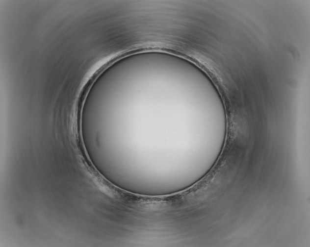 X0000113160886200909041253