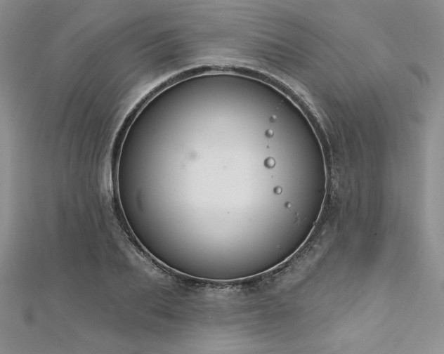 X0000113160887200909041253