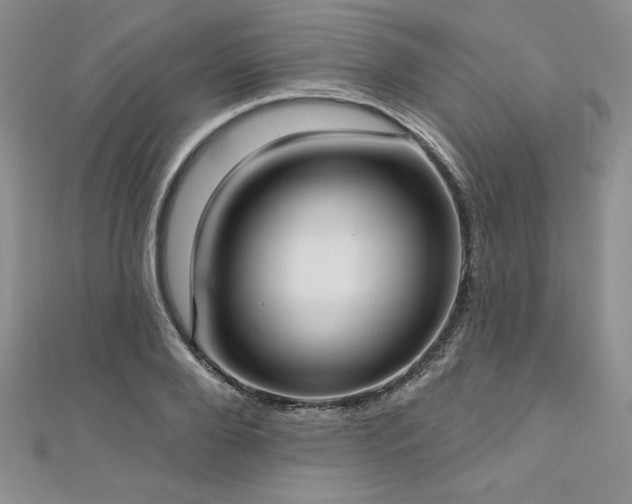 X0000113160888200909041253