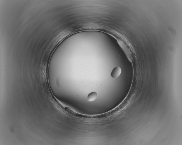 X0000113160889200909041253