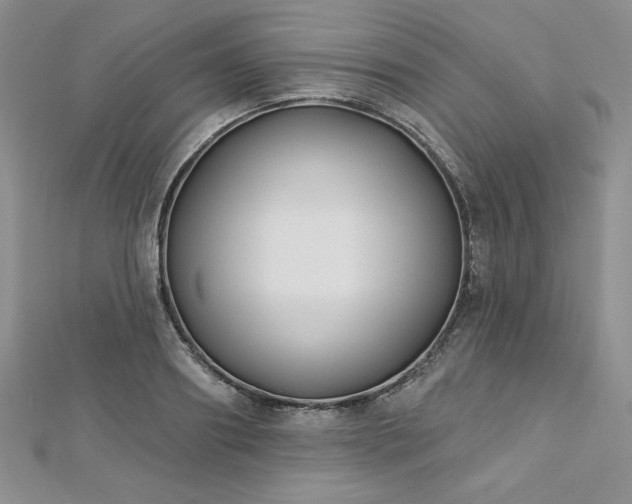 X0000113160890200909041253