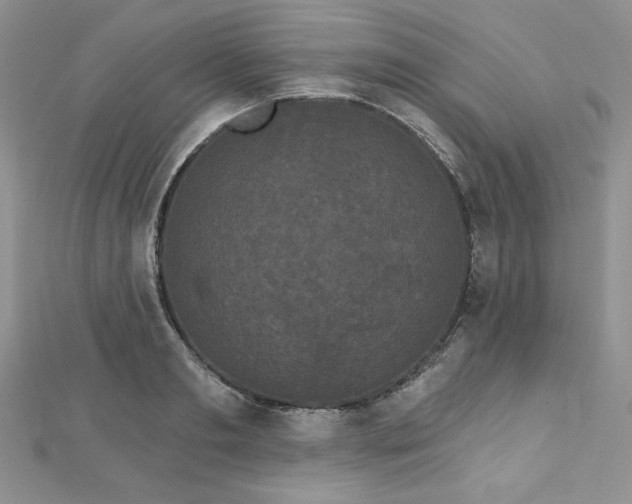 X0000113160893200909041253
