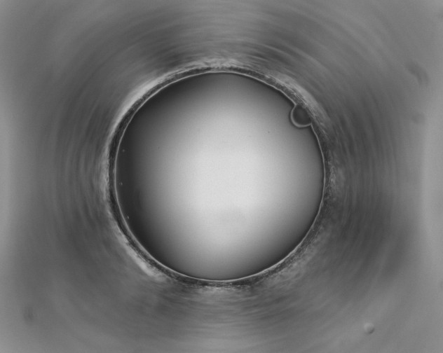 X0000113160894200909041252