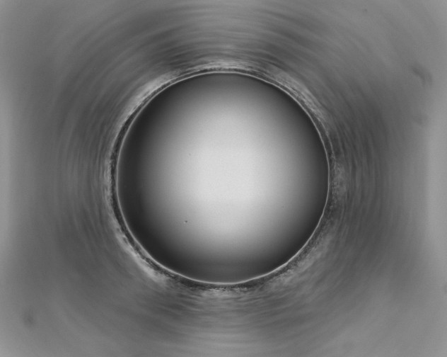 X0000113160898200909041252