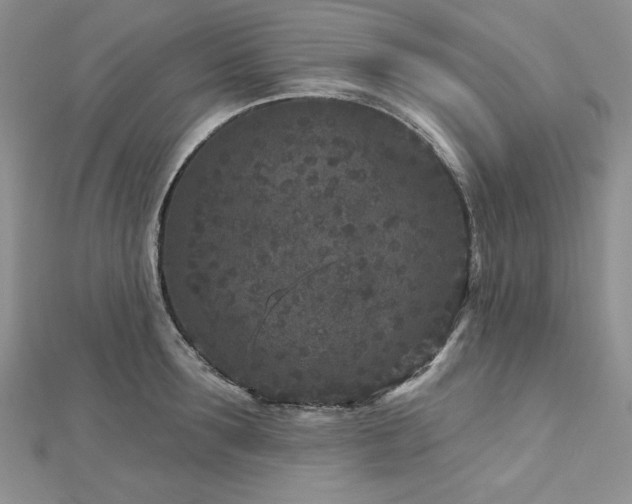 X0000113160899200909041252
