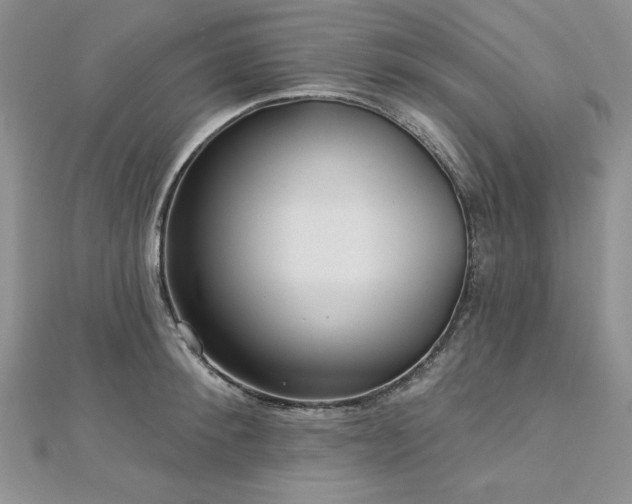 X0000113160900200909041252