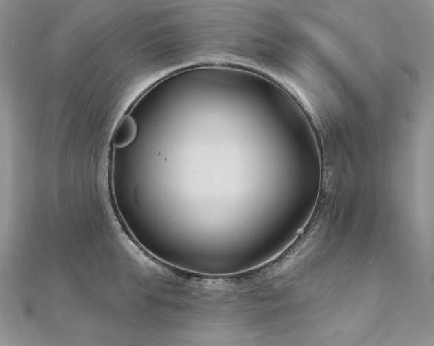 X0000113160903200909041252