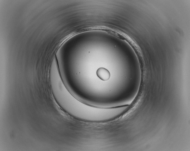 X0000113160905200909041252