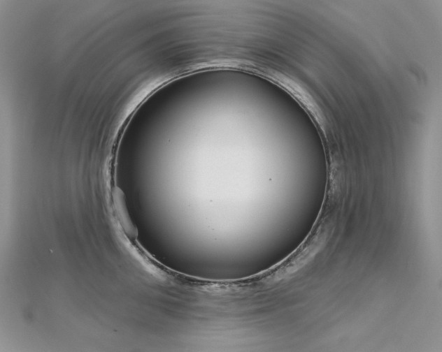 X0000113160906200909041252