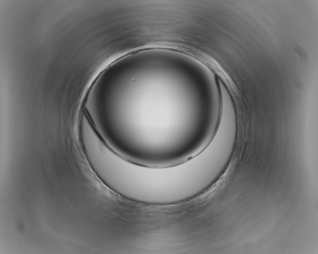X0000113160908200909041252