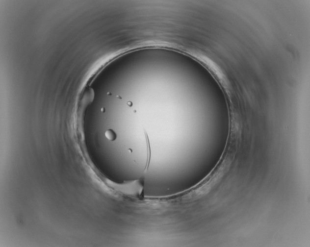 X0000113160910200909041252