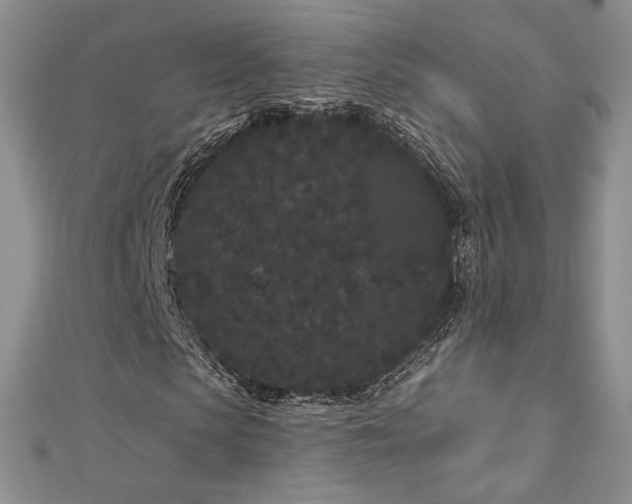 X0000113160913200909041252