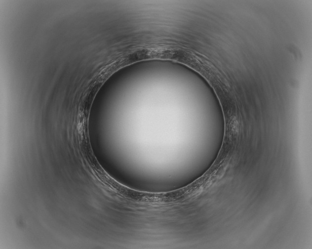 X0000113160914200909041252