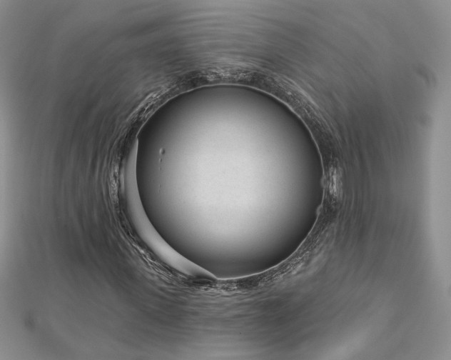 X0000113160915200909041252