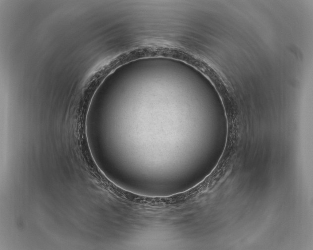 X0000113160919200909041252